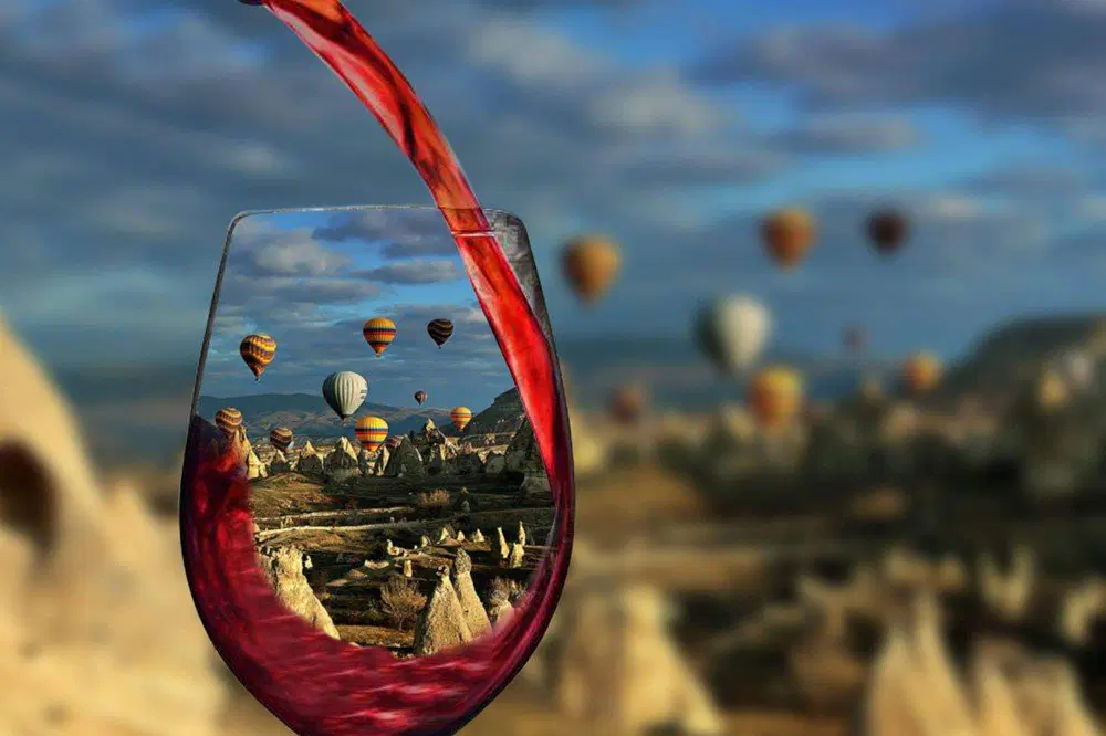 Wine Tasting Experience