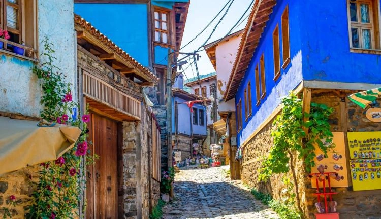 Cumalıkızık Village Tour - Private