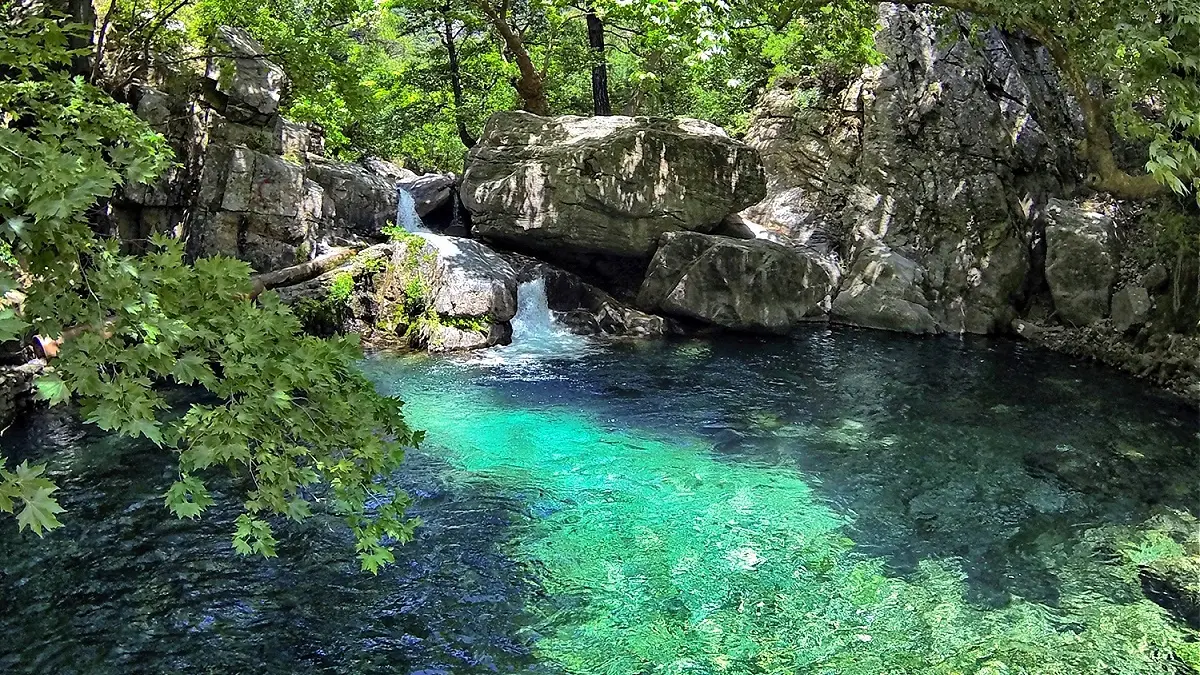 Mount Ida (Kaz Dağları) Nature Full Day Tour - Private 