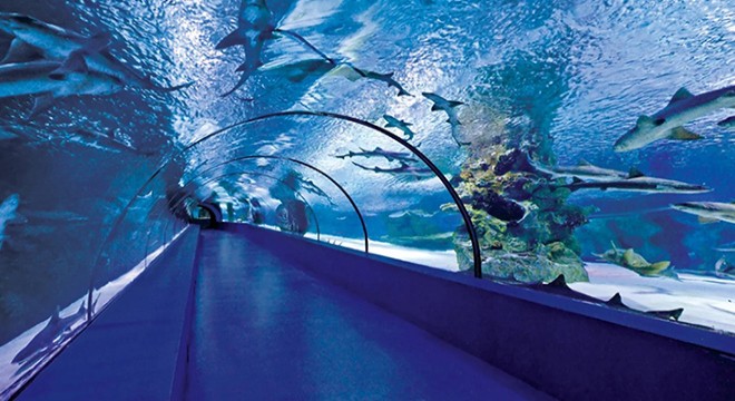 Antalya Aquarium Tour