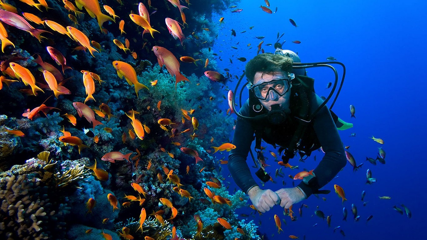 Diving Tour 