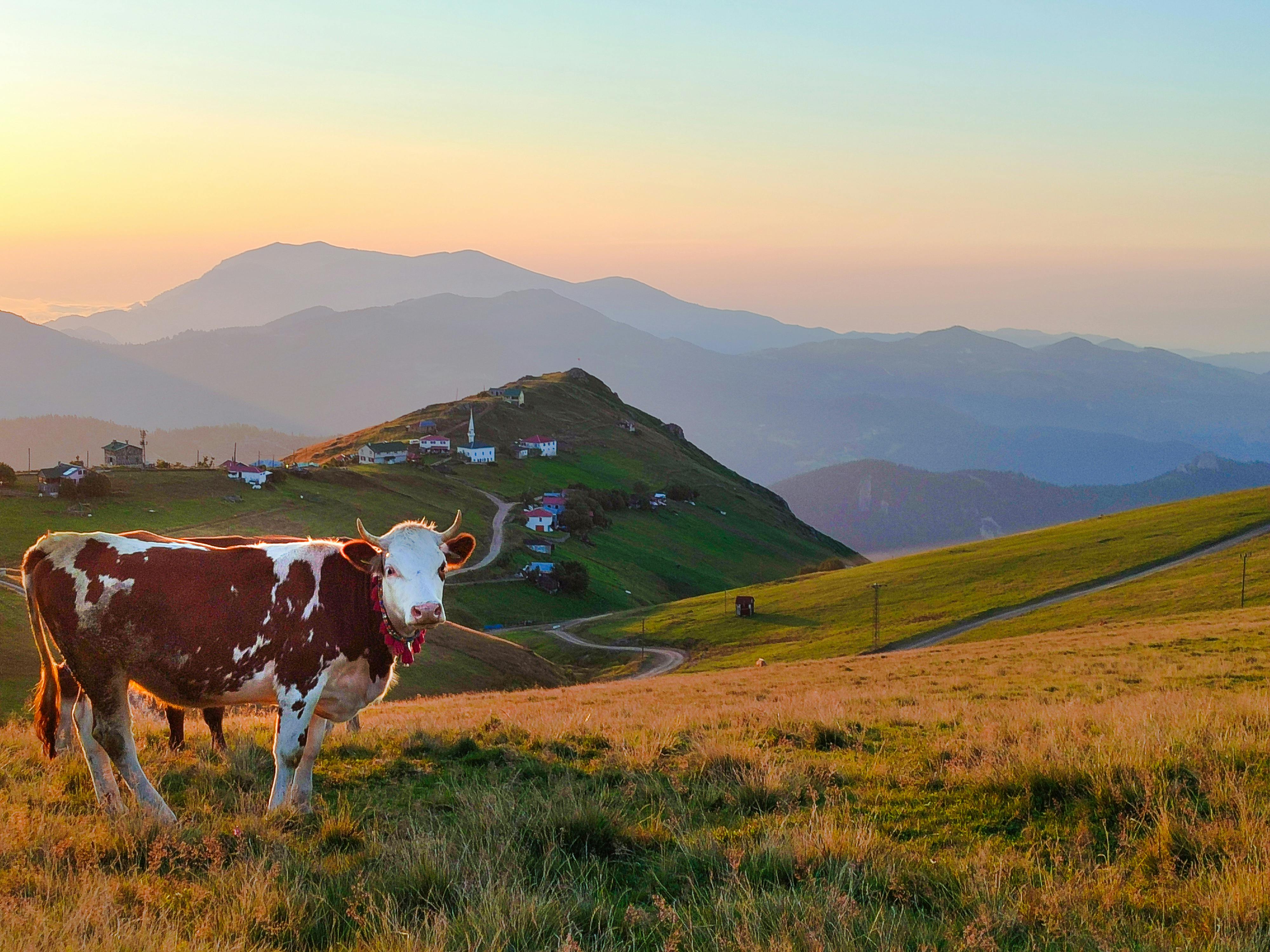 Trabzon Tours